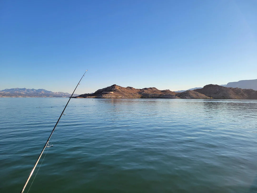 🎣🚐 Lake Mead Fishing Day Trip — Now Weekdays & Weekends