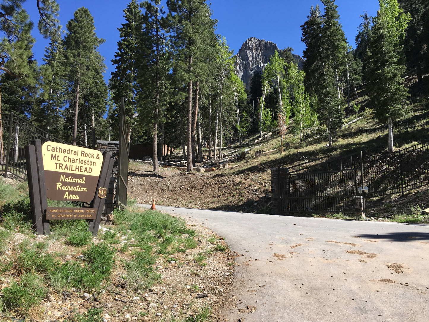 🎉 FULL-DAY BIRTHDAY CELEBRATION AT MT. CHARLESTON