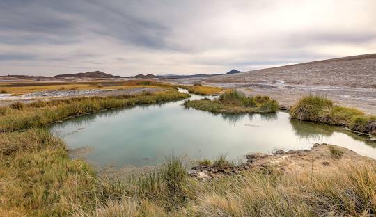 ♨️🚐✨ Tecopa Hot Springs — One-Day RV Wellness Trip