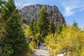 🎉 FULL-DAY BIRTHDAY CELEBRATION AT MT. CHARLESTON